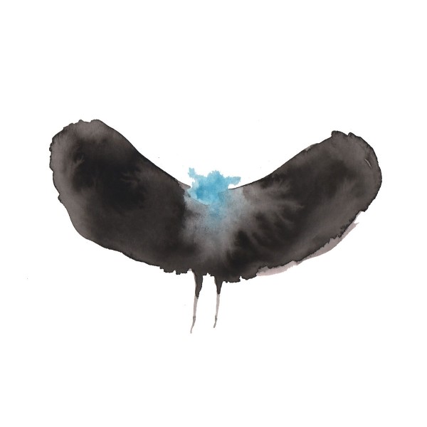 Charles Hayward & Dälek -  HAYWARDxDÄLEK 