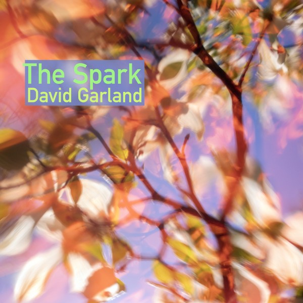 David Garland - The Spark