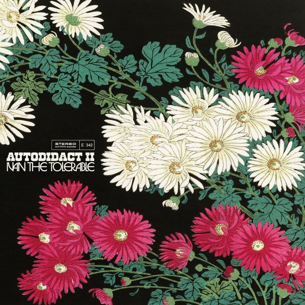 Ivan The tolerable - Autodidact II