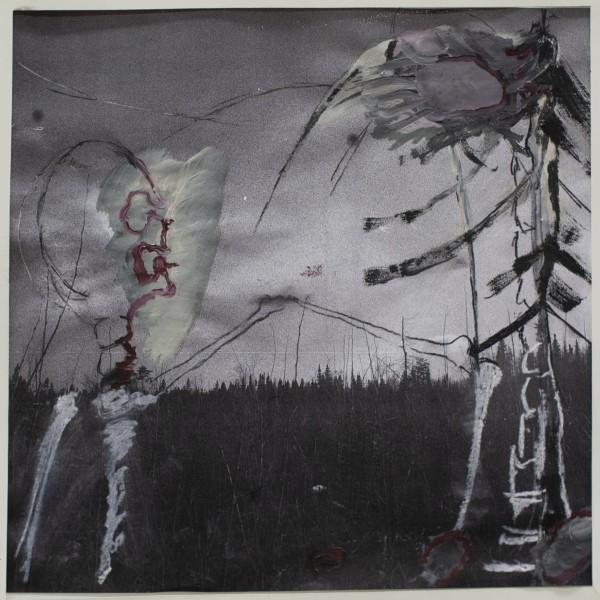 Albatros - Correct