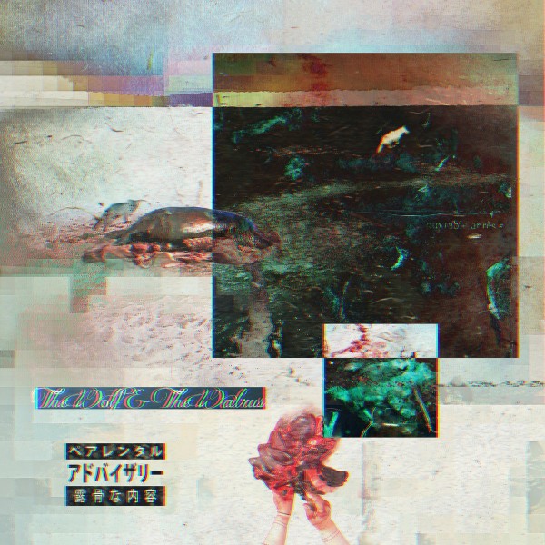 Teller Banks - The wolf and the walrus