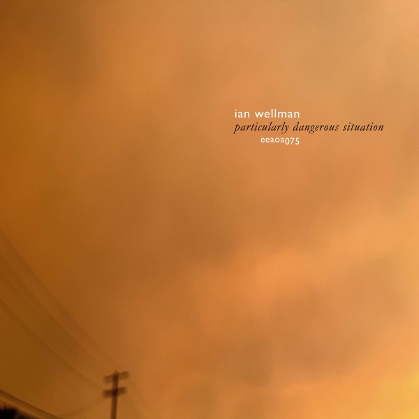 Ian Wellman -  Particularly Dangerous Situation 