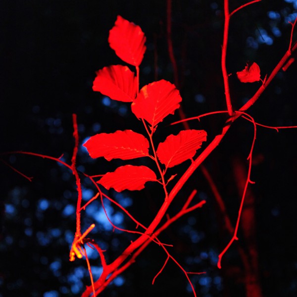 Ludwig Berger -  Ecotonalities: No Other Home Than The In-Between 