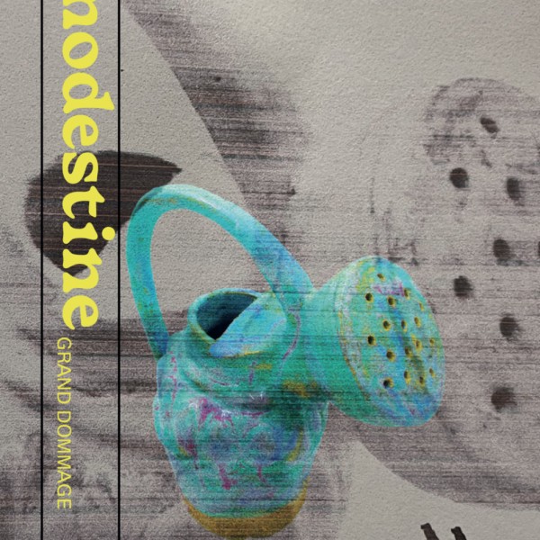 Modestine - Grand Dommage