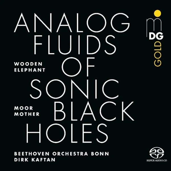 Moor Mother - Analog FLuids of Sonic Black Holes