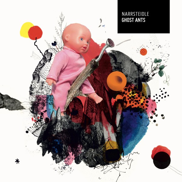 Narrsteidle - Ghost Ants