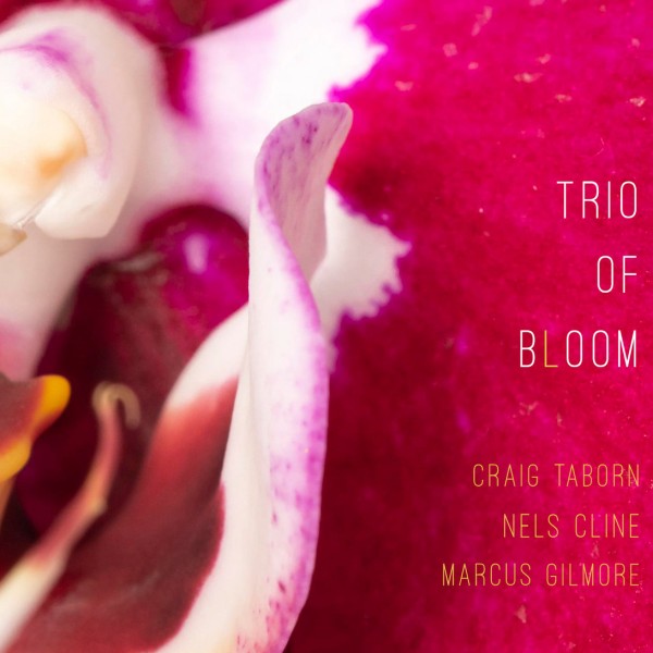Craig Taborn, Nels Cline & Marcus Gilmore - Trio of Bloom