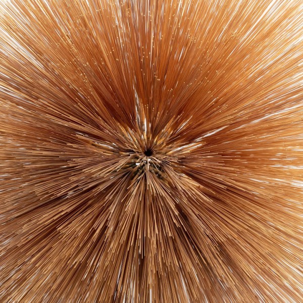 Patricia Brennan - Of the Near and Far