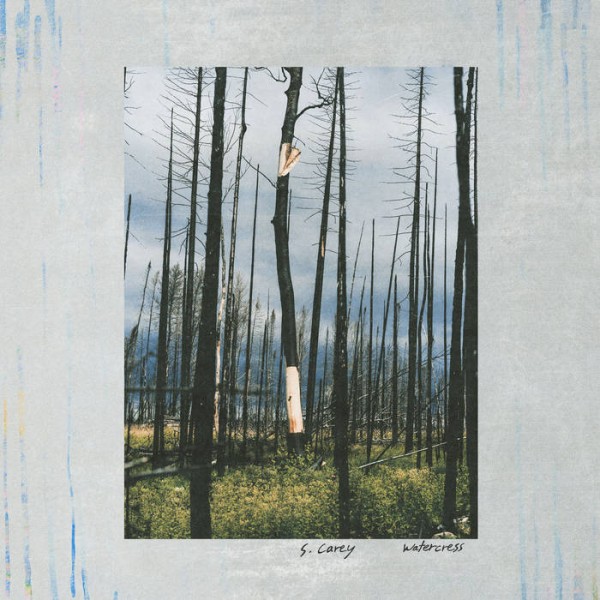 S.Carey - Watercress